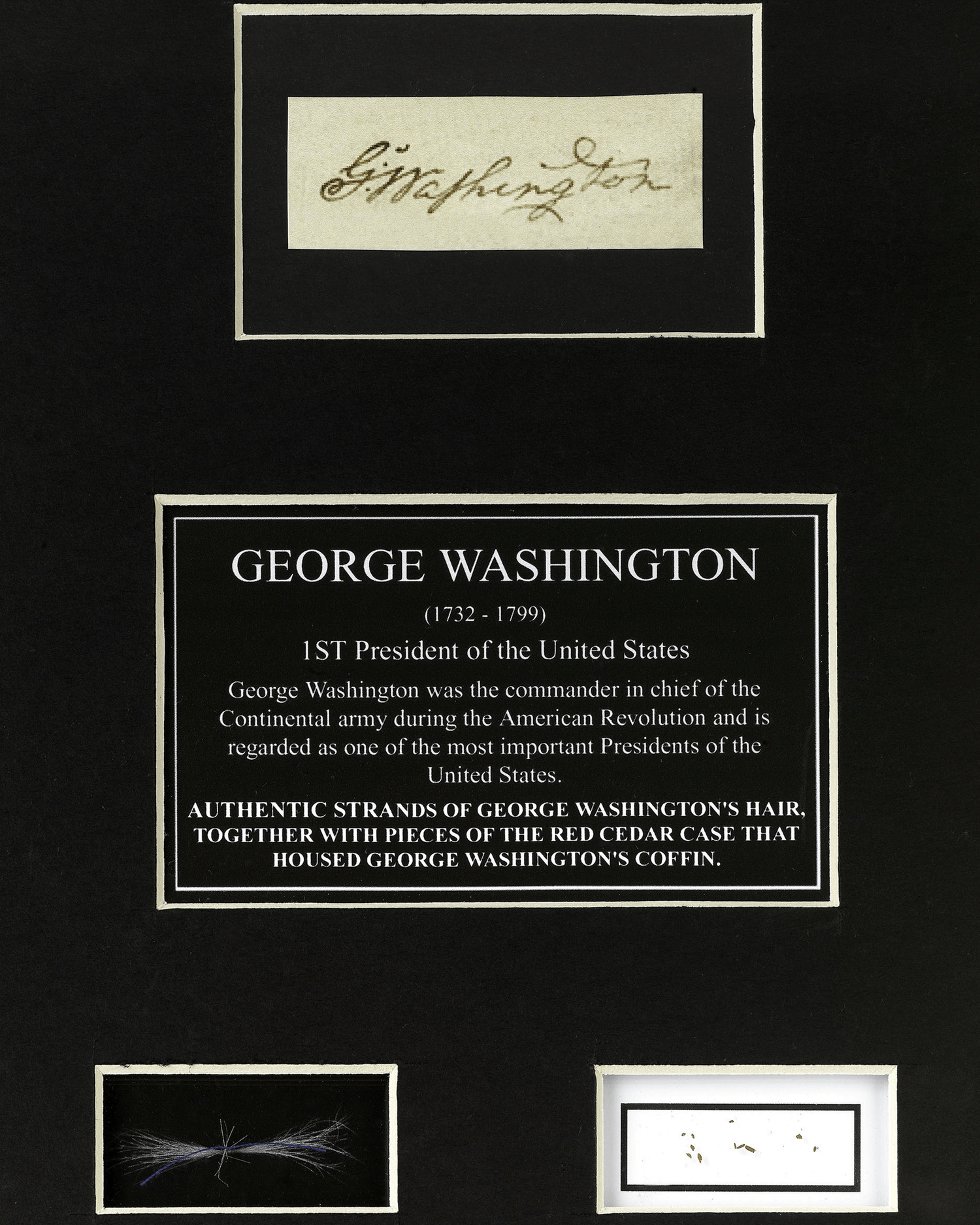 George Washington's Hair and Funerary Case Shavings