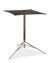 English Magician's Table Cane