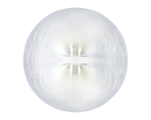 Large Coquilles Opalescent Glass Dish by René Lalique