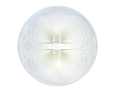 René Lalique Opalescent Glass Medium Coquilles Dish