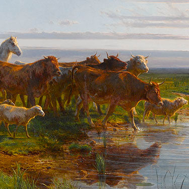 Bonheur, Rosa