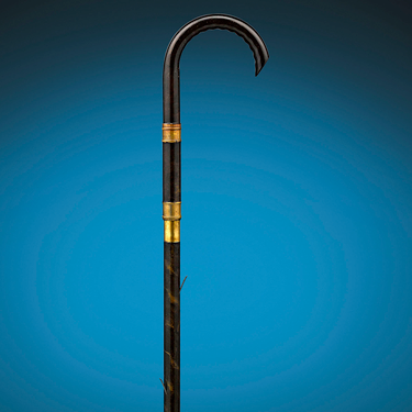 The Mystery Within: Weapon Canes