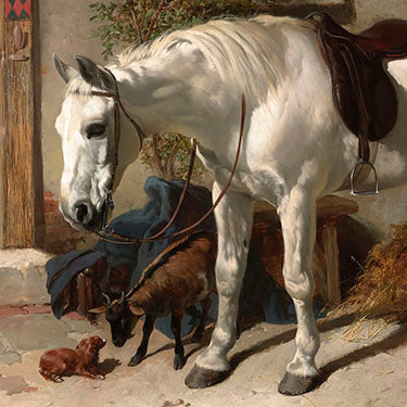 Herring, Frederick