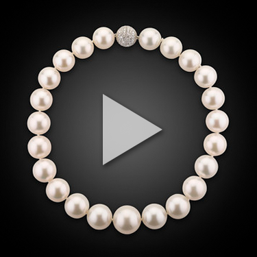 White South Sea Pearl Necklace