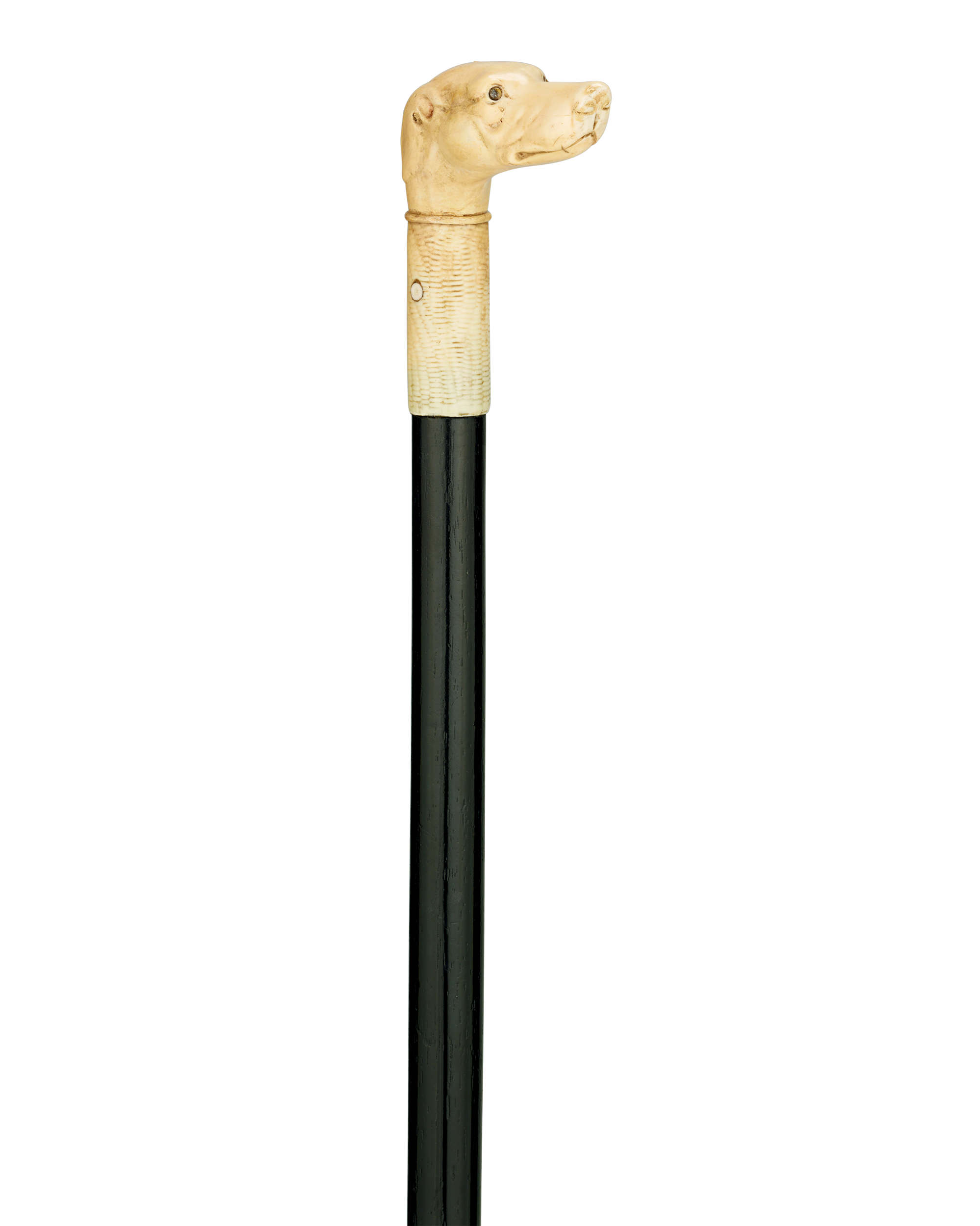 Bone Dog Cane