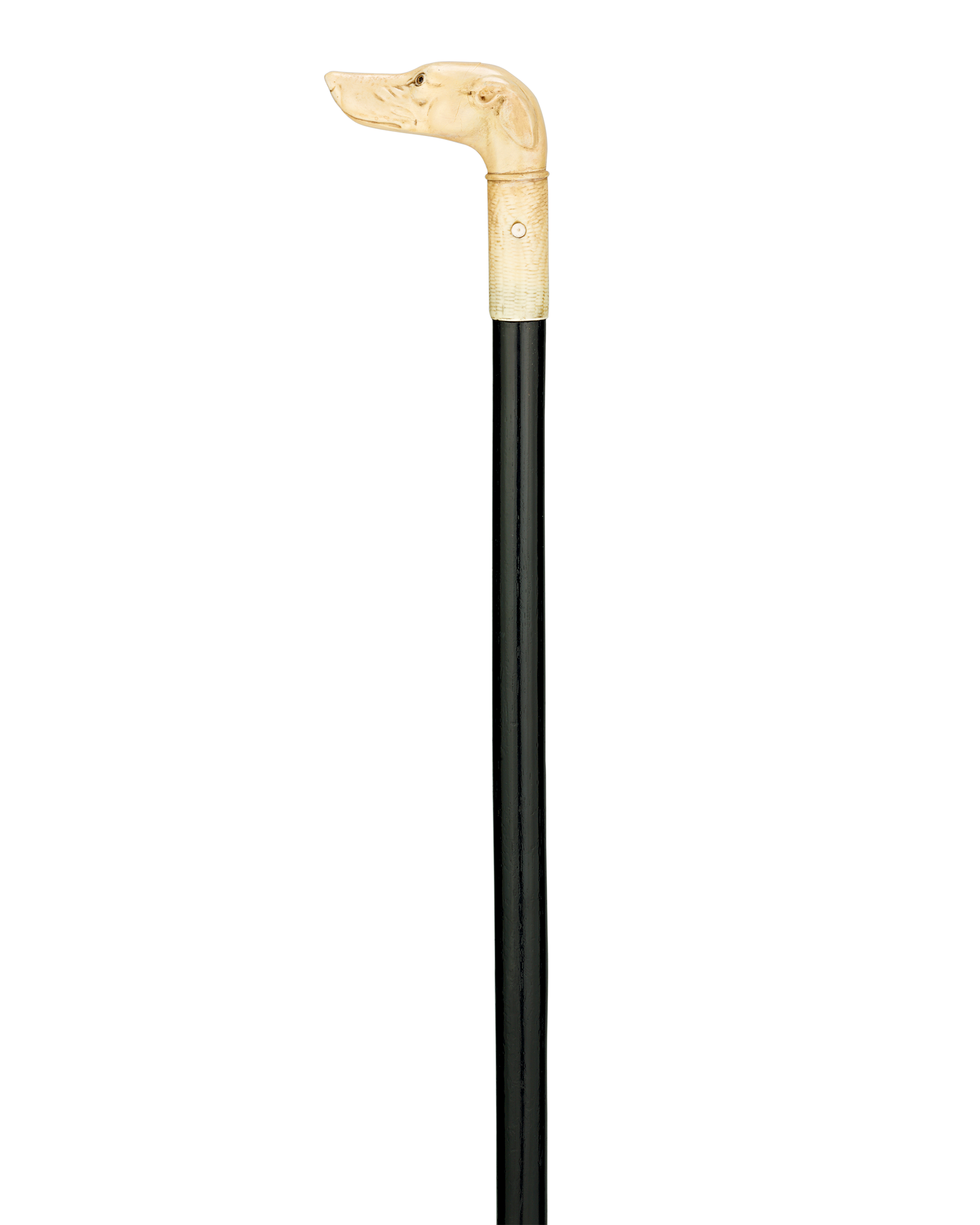 Bone Dog Cane