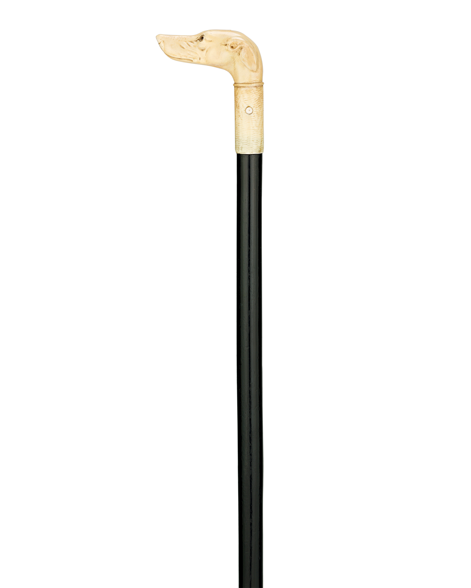 Bone Dog Cane