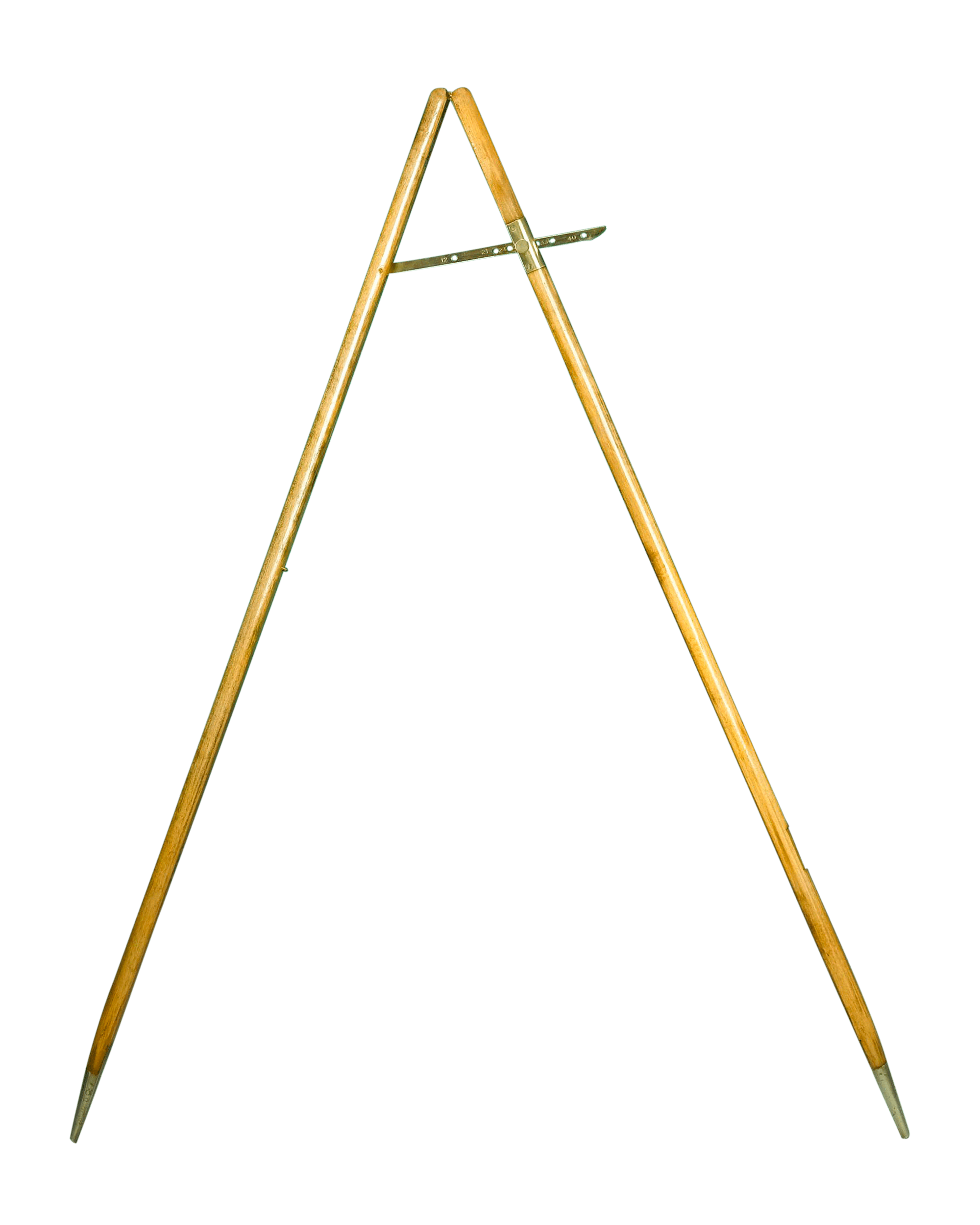 Sergeant Major's Pacing Cane