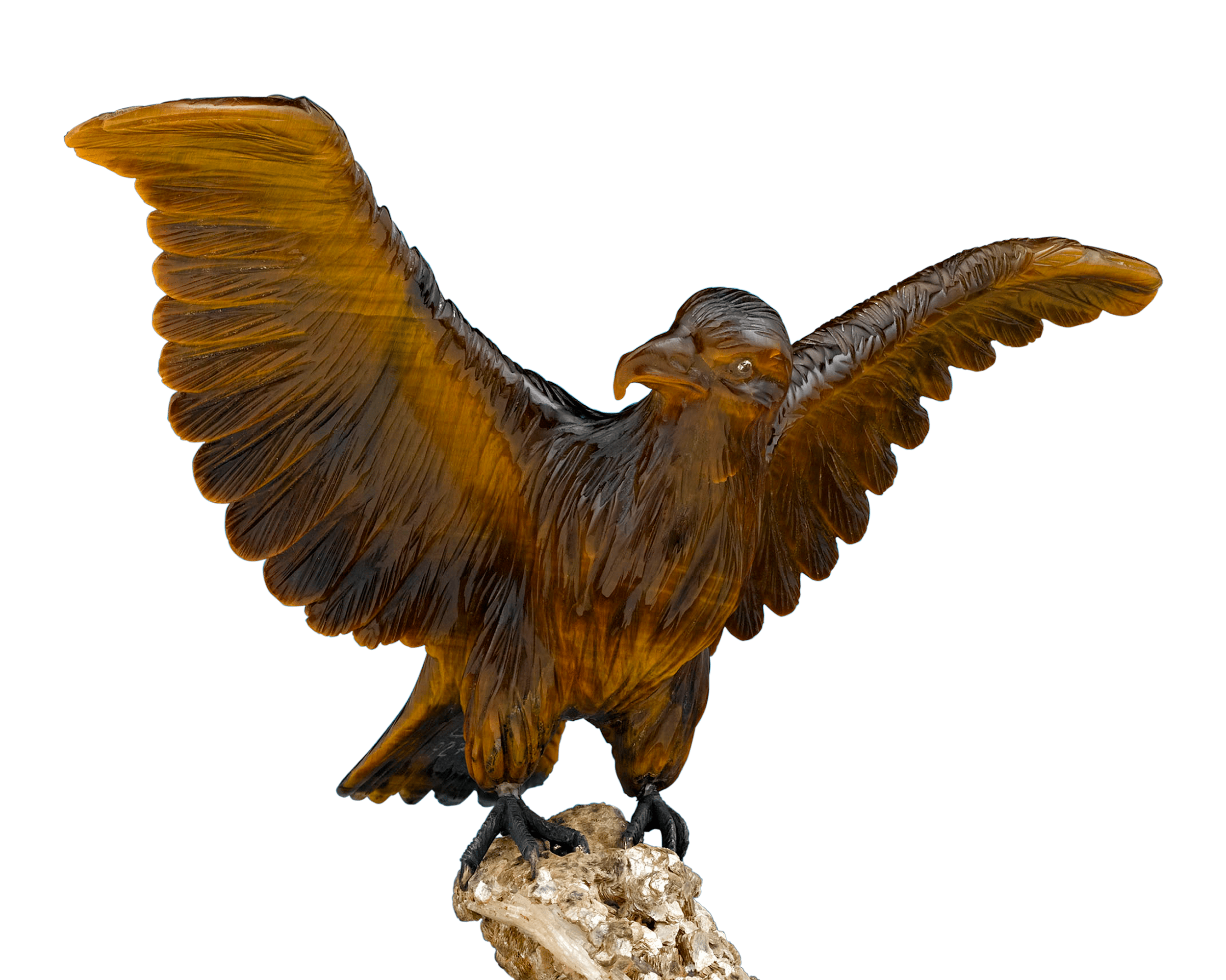 Tiger’s Eye Eagle by George O. Wild