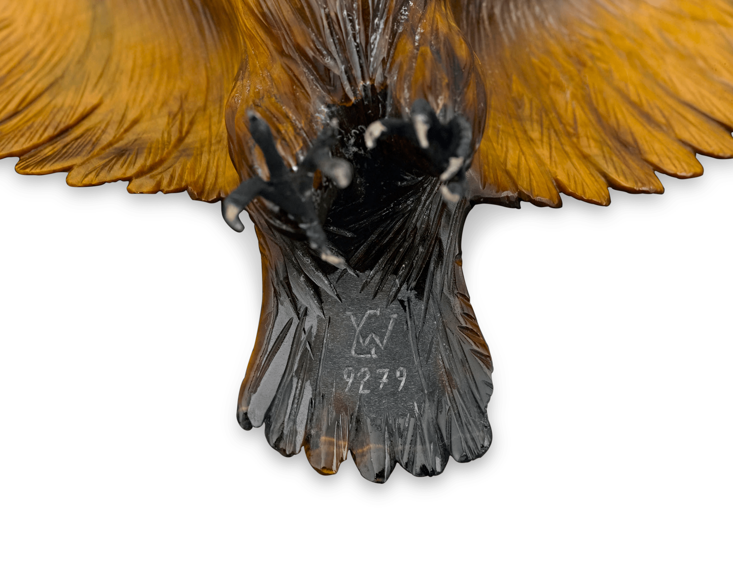 Tiger’s Eye Eagle by George O. Wild