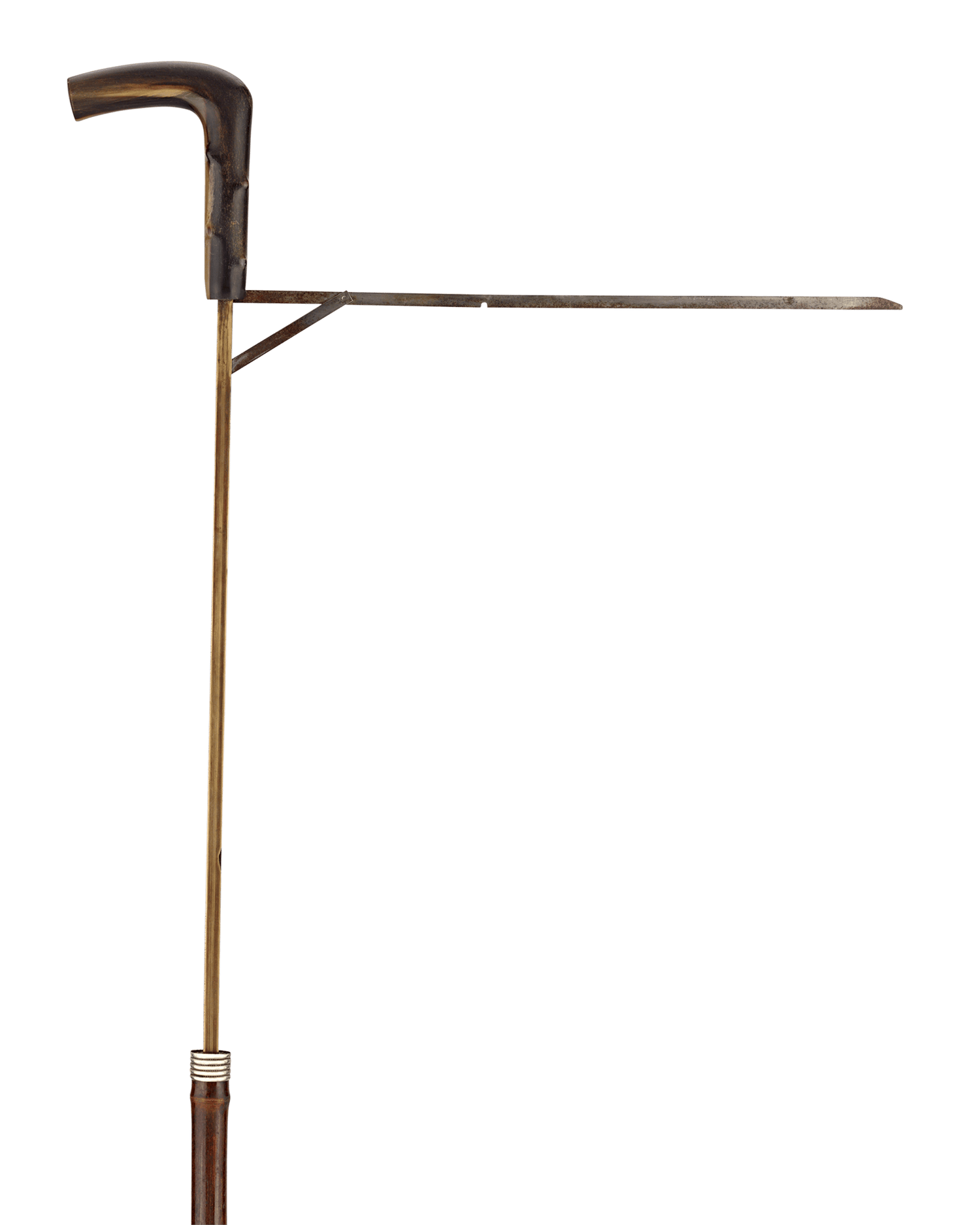 Horse Measuring Cane