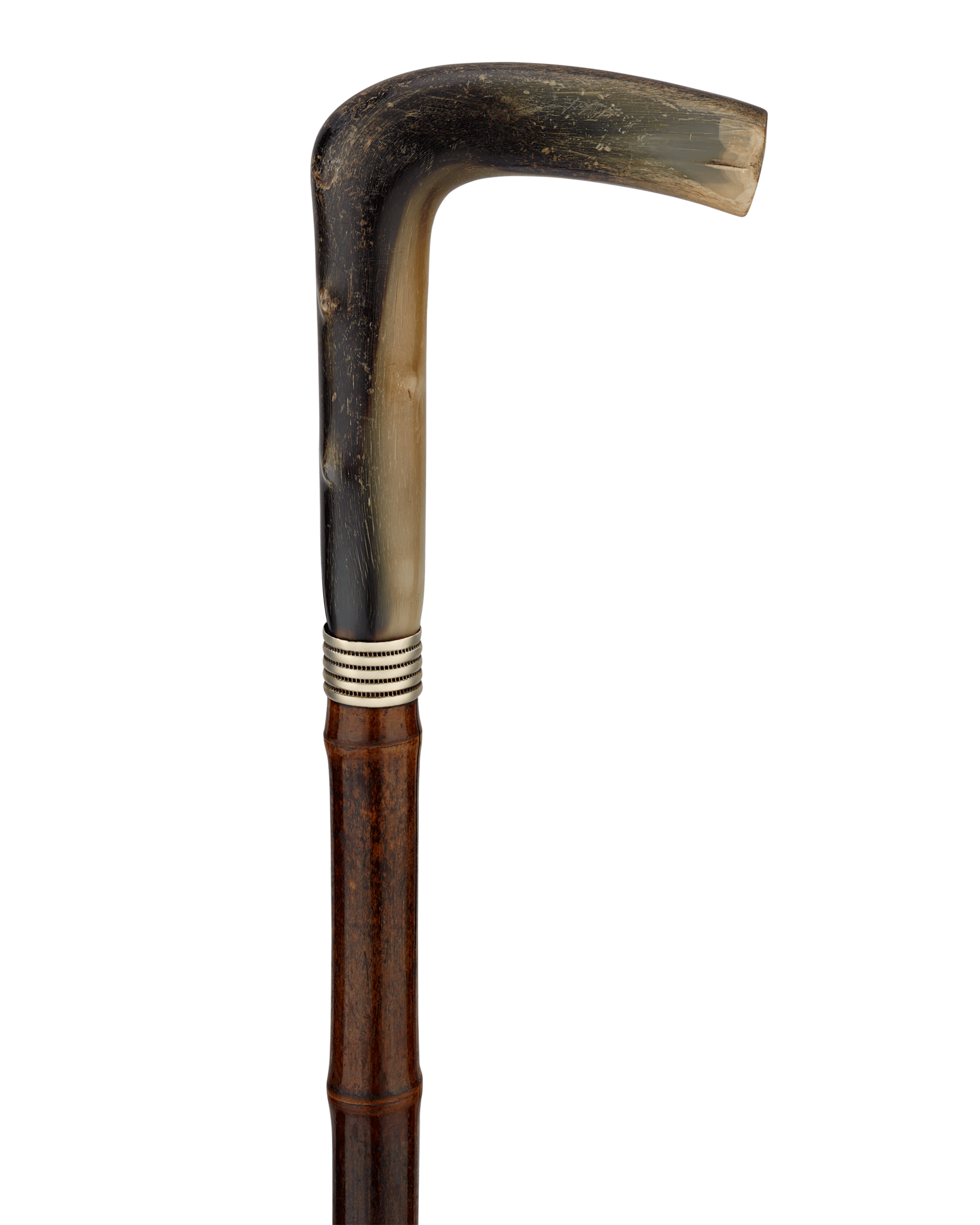 Horse Measuring Cane