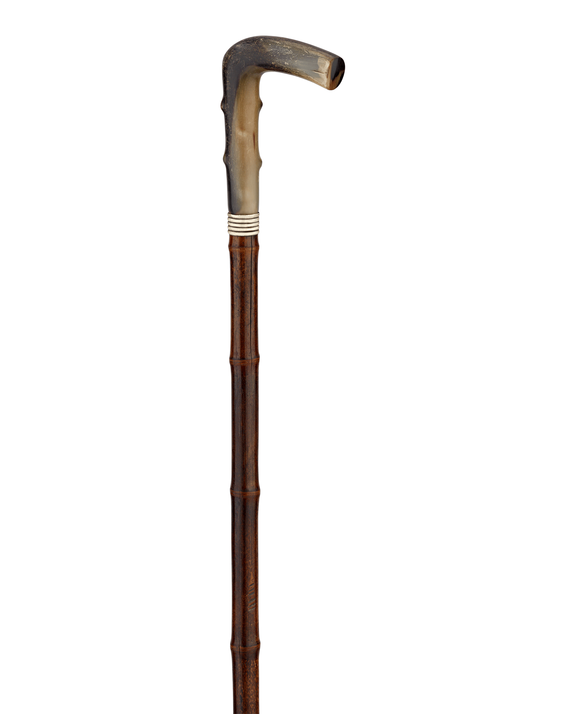Horse Measuring Cane
