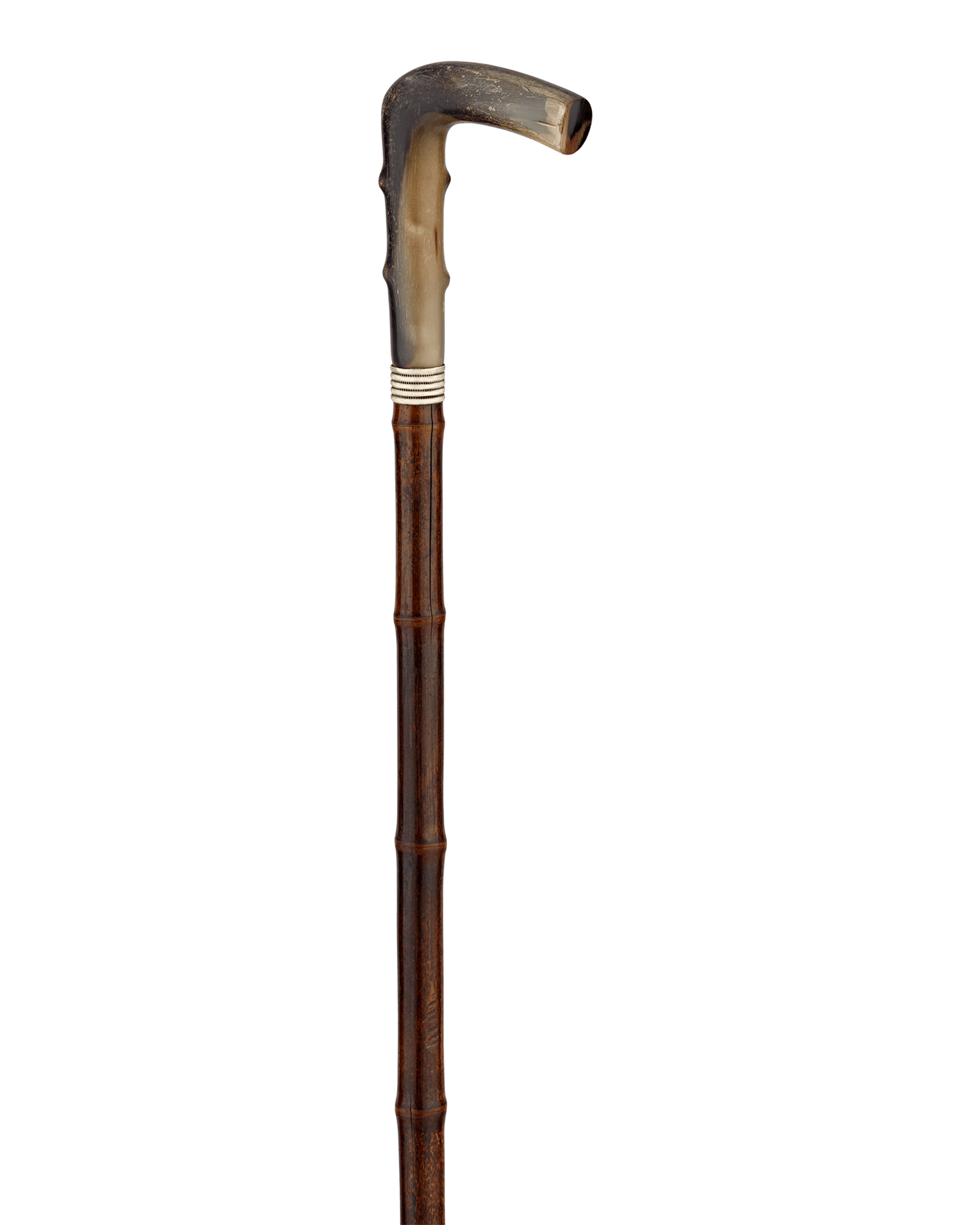 Horse Measuring Cane