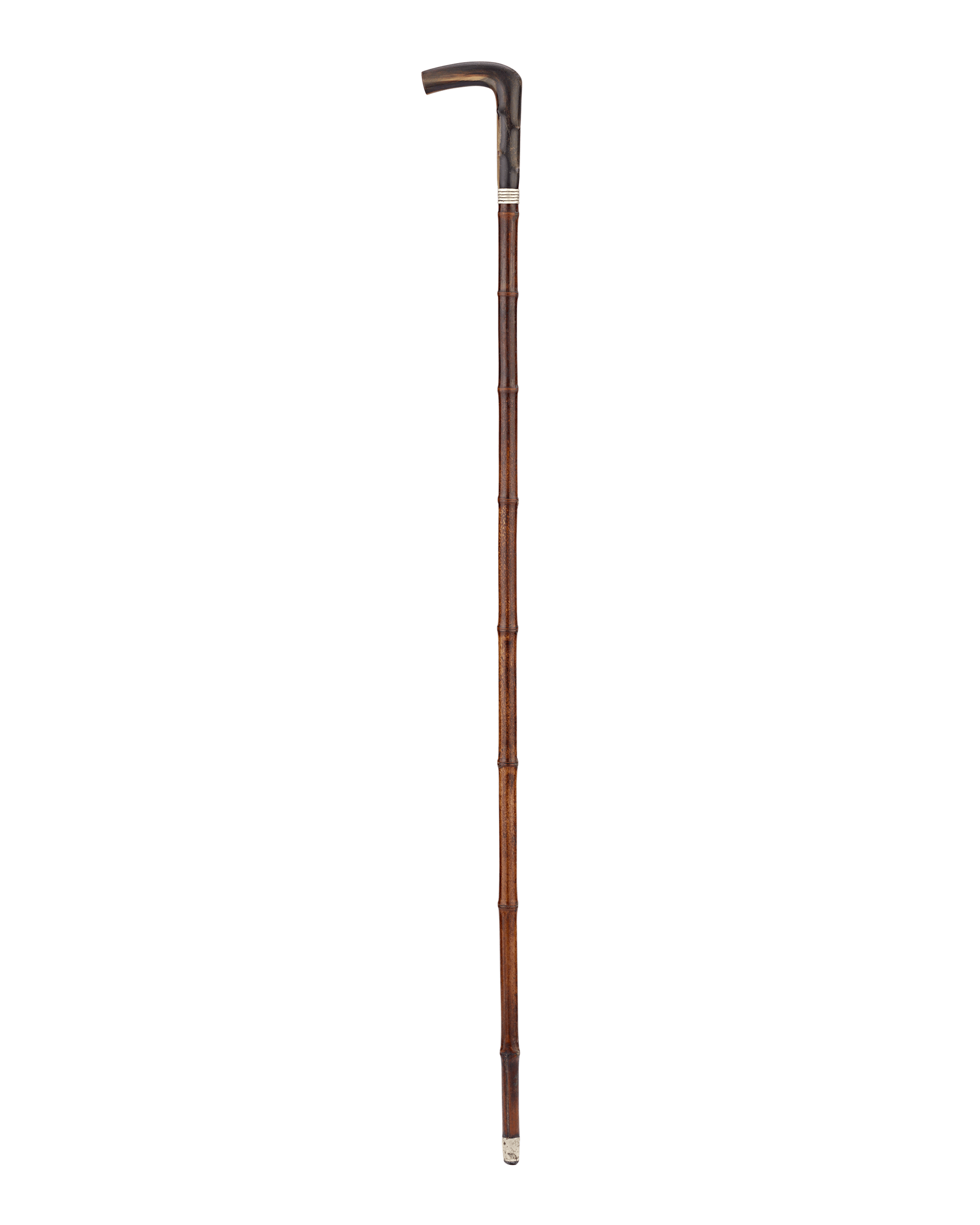 Horse Measuring Cane