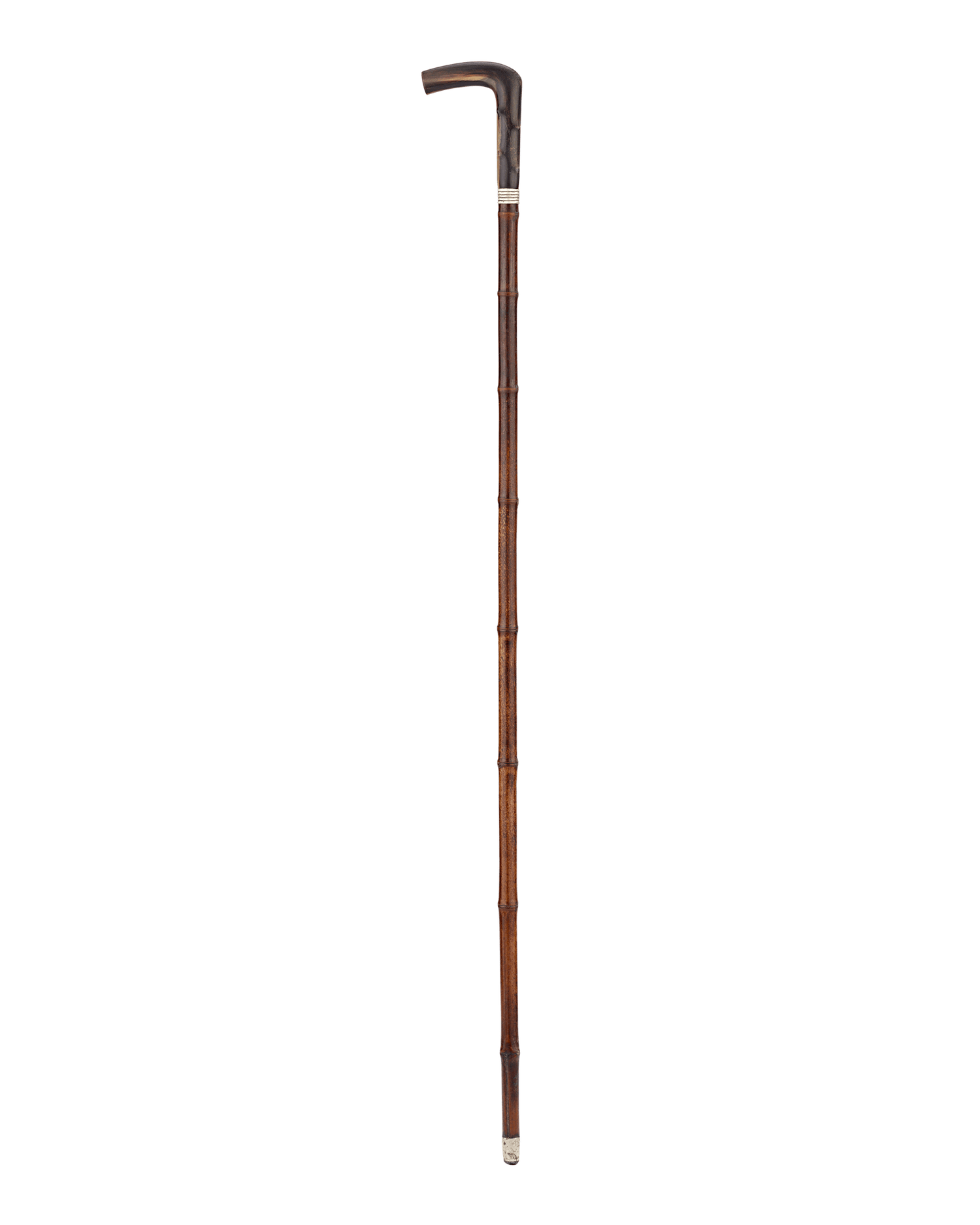 Horse Measuring Cane