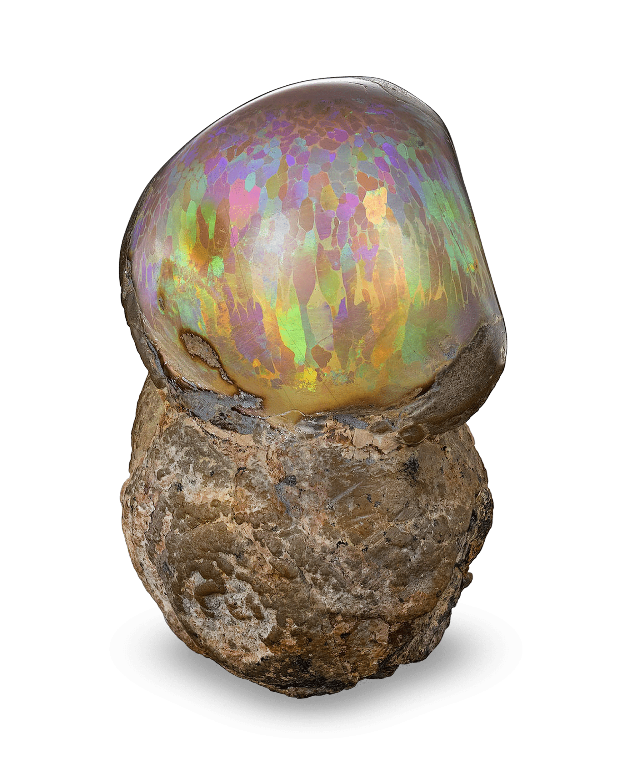 This rare Ethiopian opal specimen displays an extraordinary array of colors