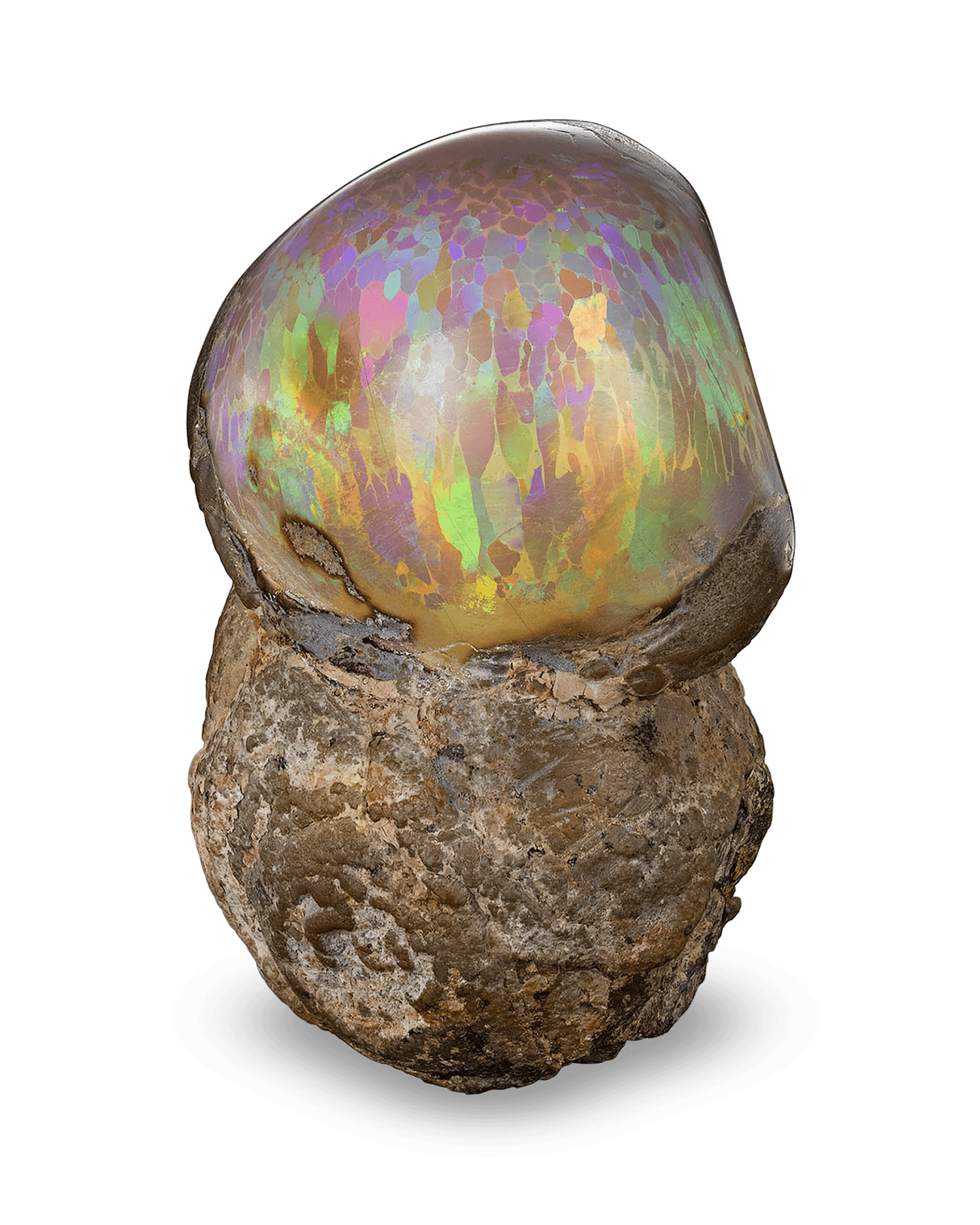 This rare Ethiopian opal specimen displays an extraordinary array of colors