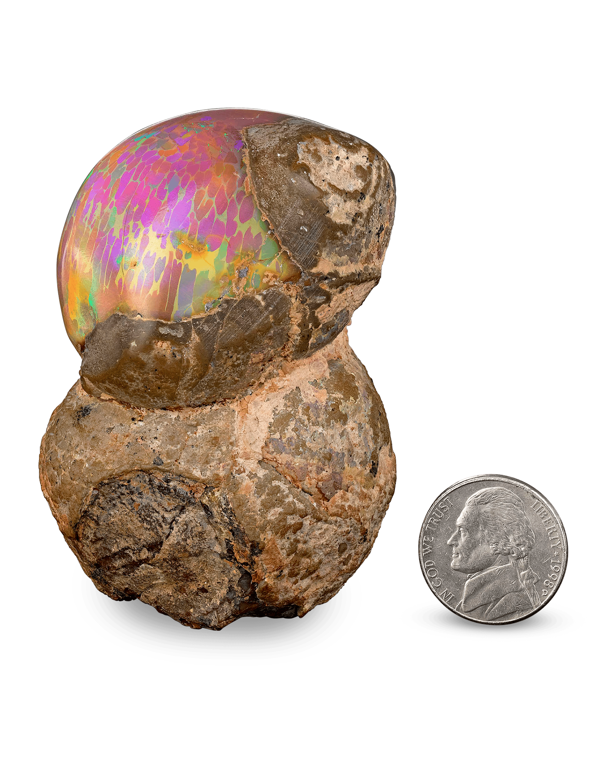 This large jewel, known as a chocolate opal, weighs an amazing 791.61 carats