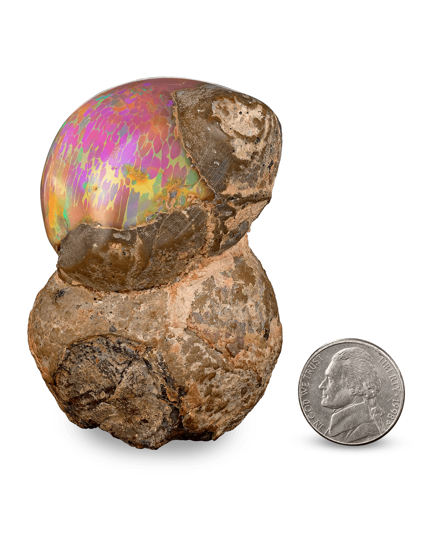 This large jewel, known as a chocolate opal, weighs an amazing 791.61 carats