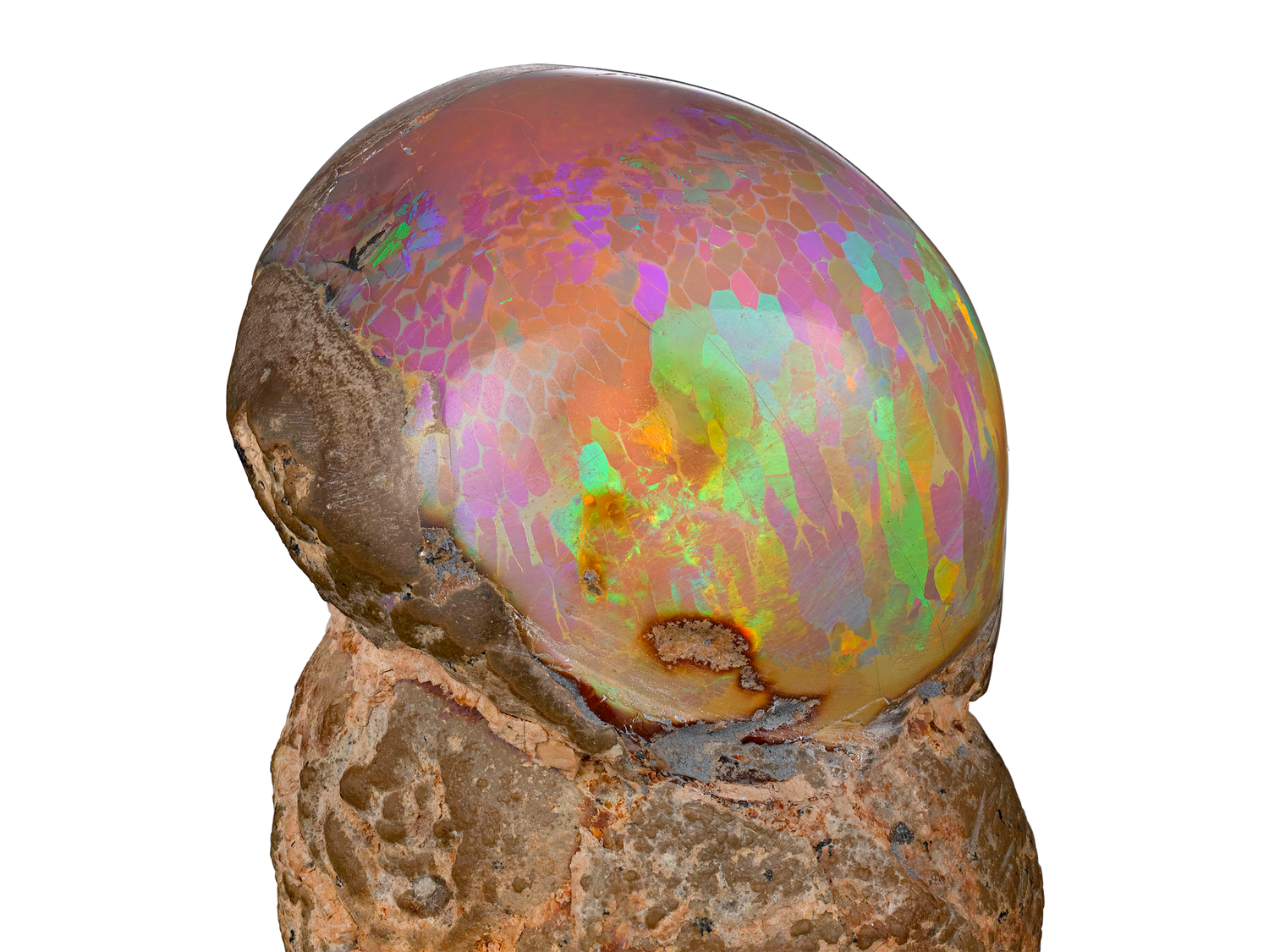 The colors of this rare specimen rival even those from the famed Australian mines