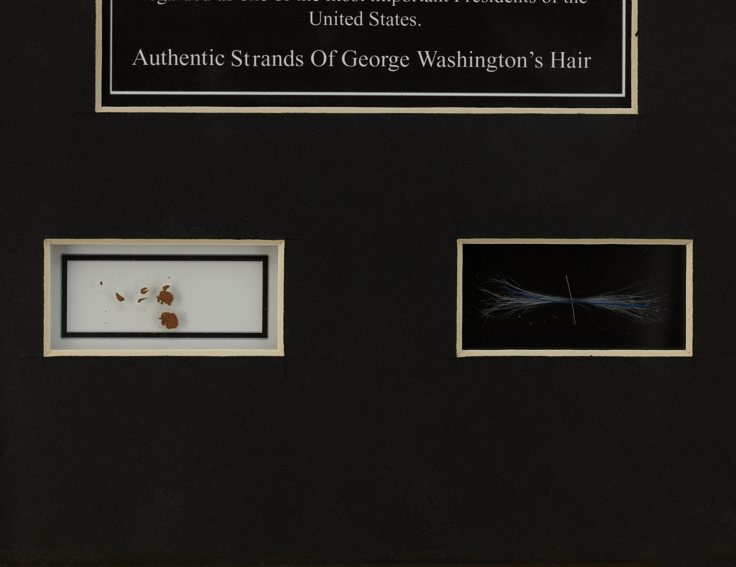 George Washington's Hair and Funerary Case Shavings