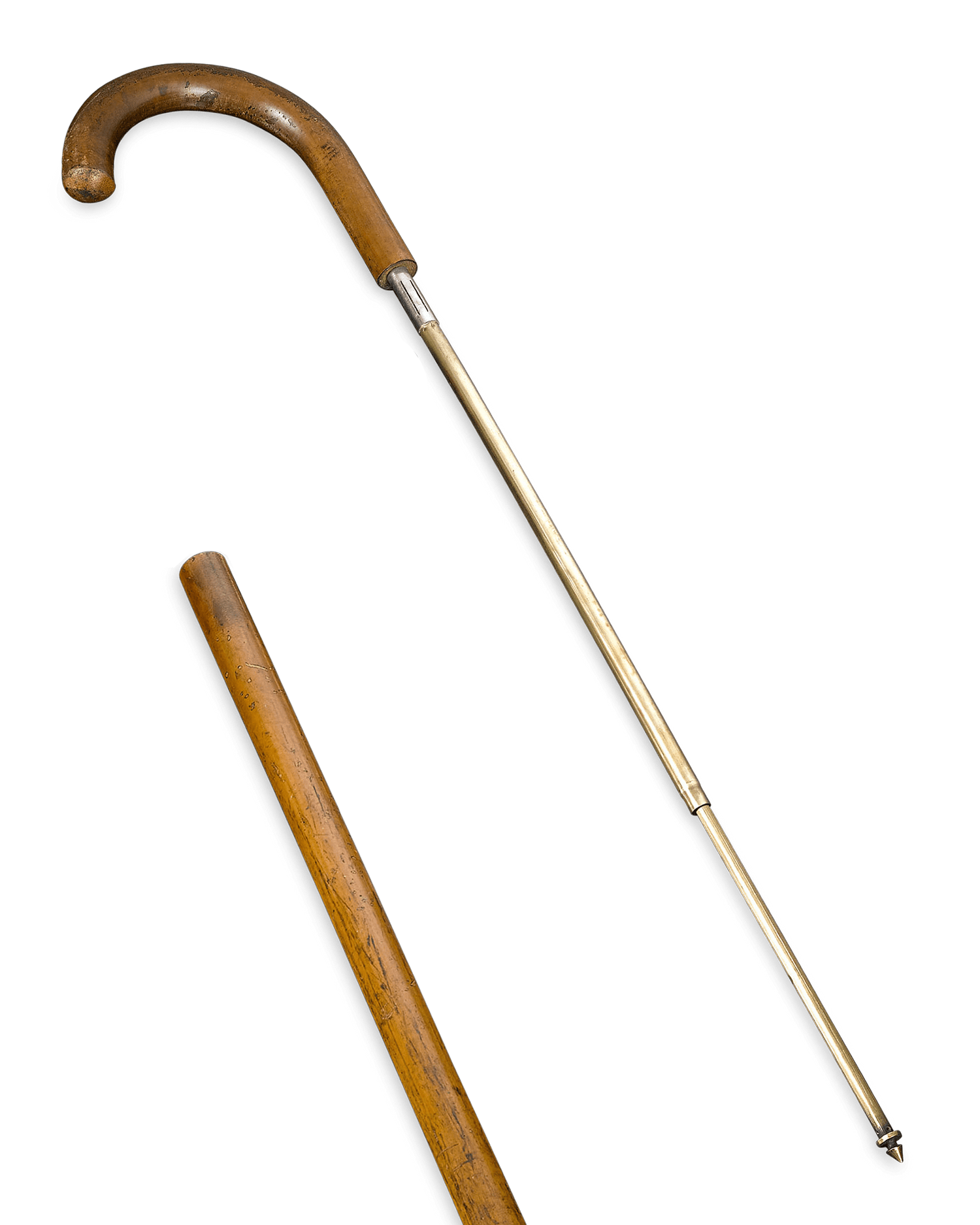 Schoolmaster's Cane