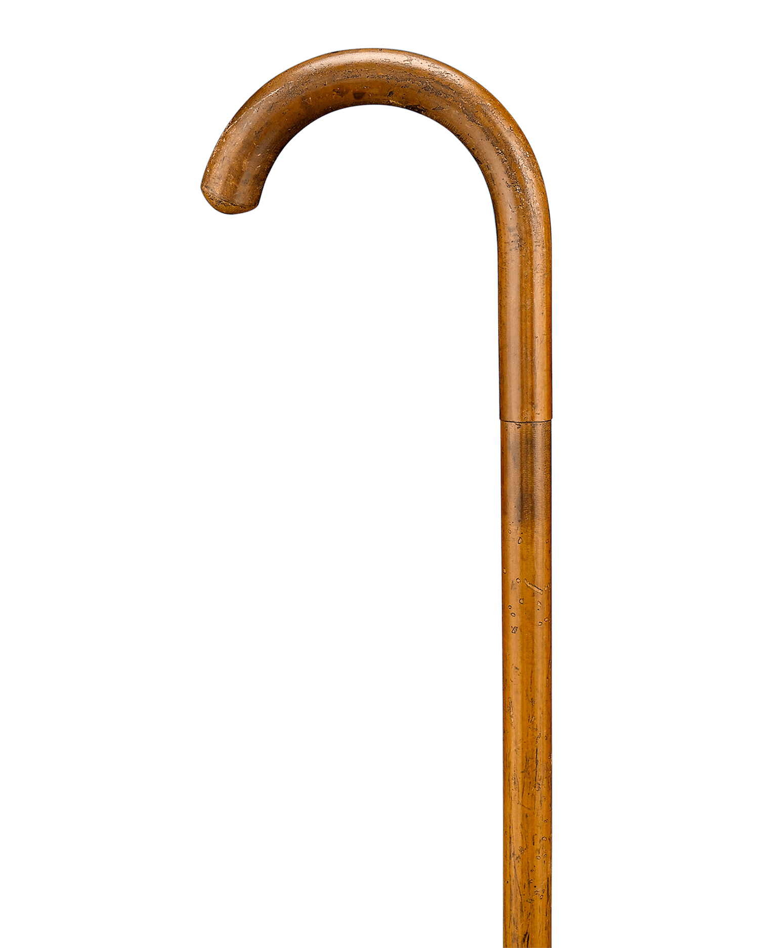 Schoolmaster's Cane