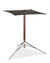 English Magician's Table Cane