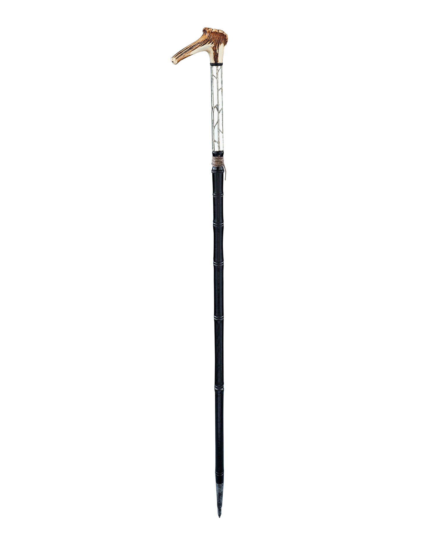 English Bird Catcher's Cane