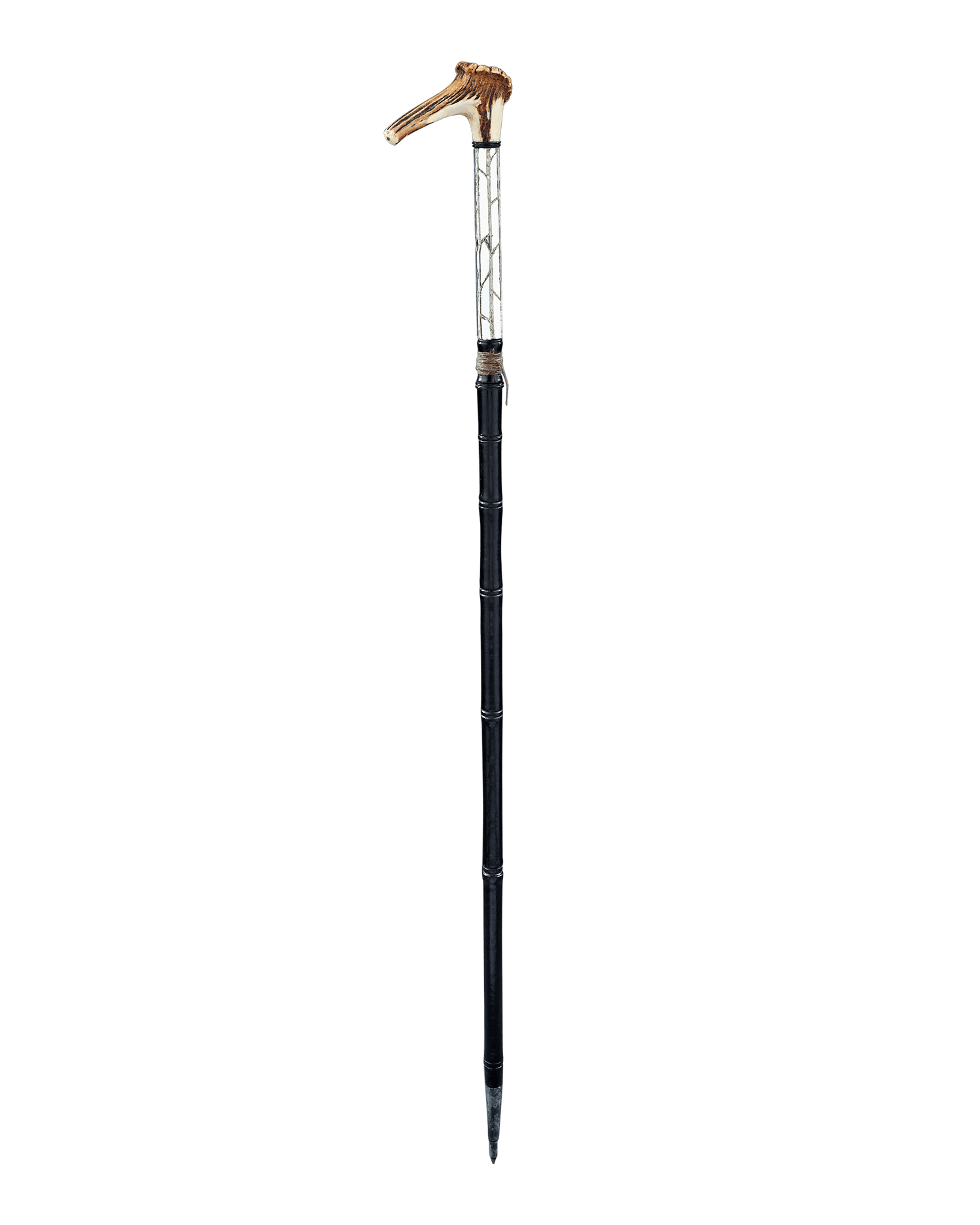 English Bird Catcher's Cane
