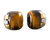David Webb Tiger's Eye Earrings
