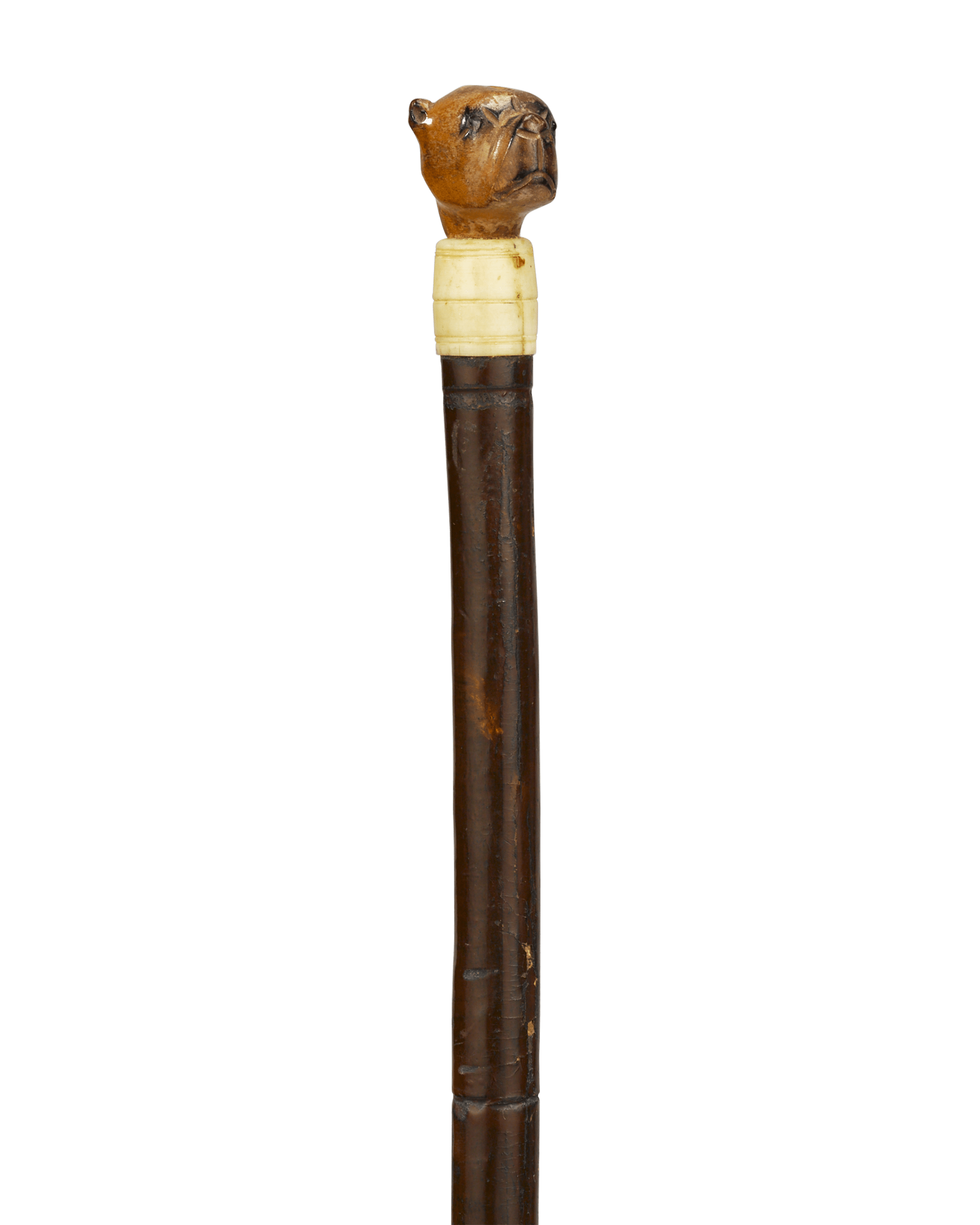 Boxer Dog Cane