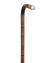 Silver-Tipped Cane