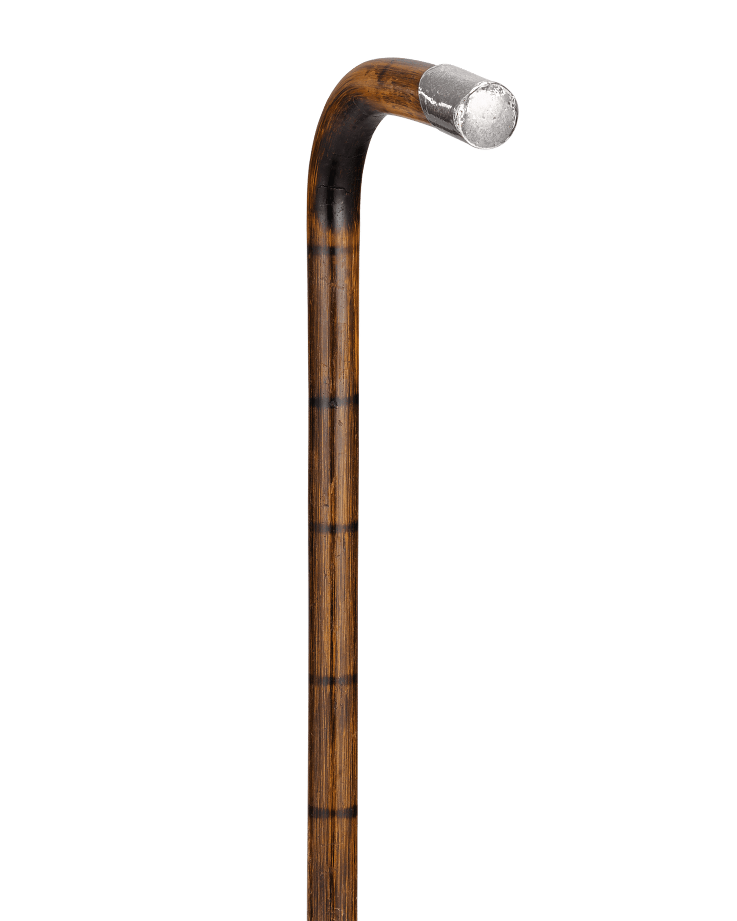 Silver-Tipped Cane