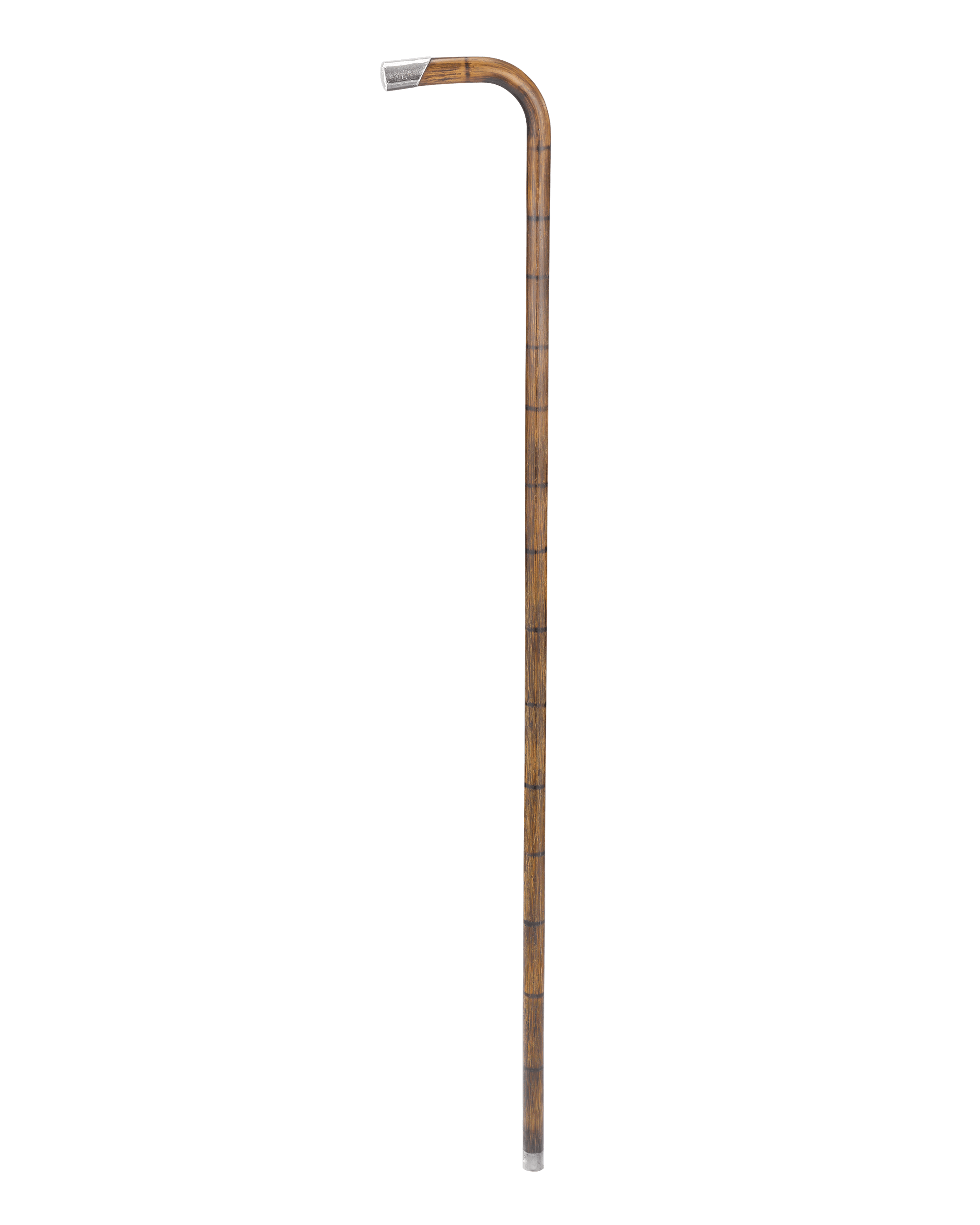 Silver-Tipped Cane