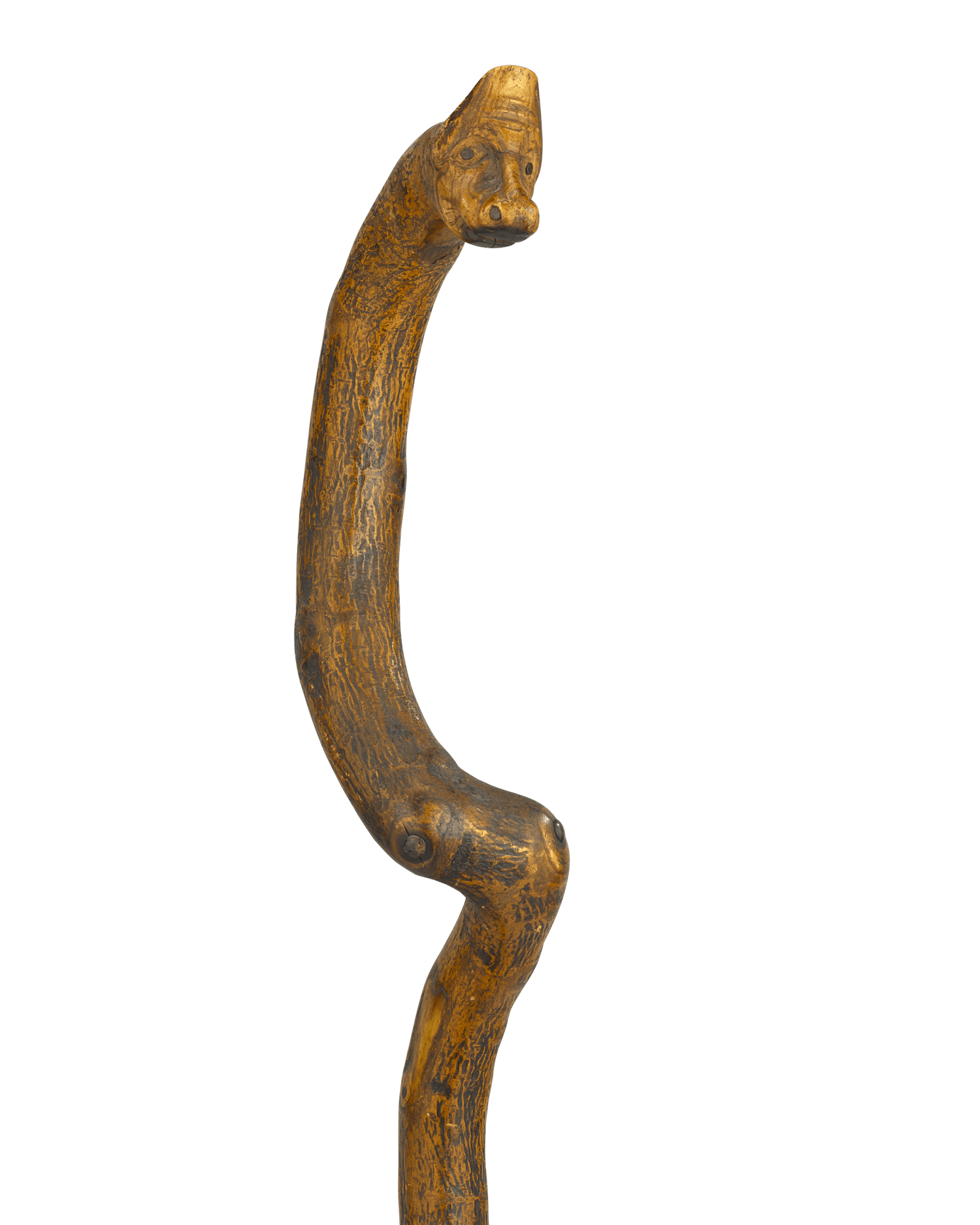 Long-Neck Dinosaur Cane