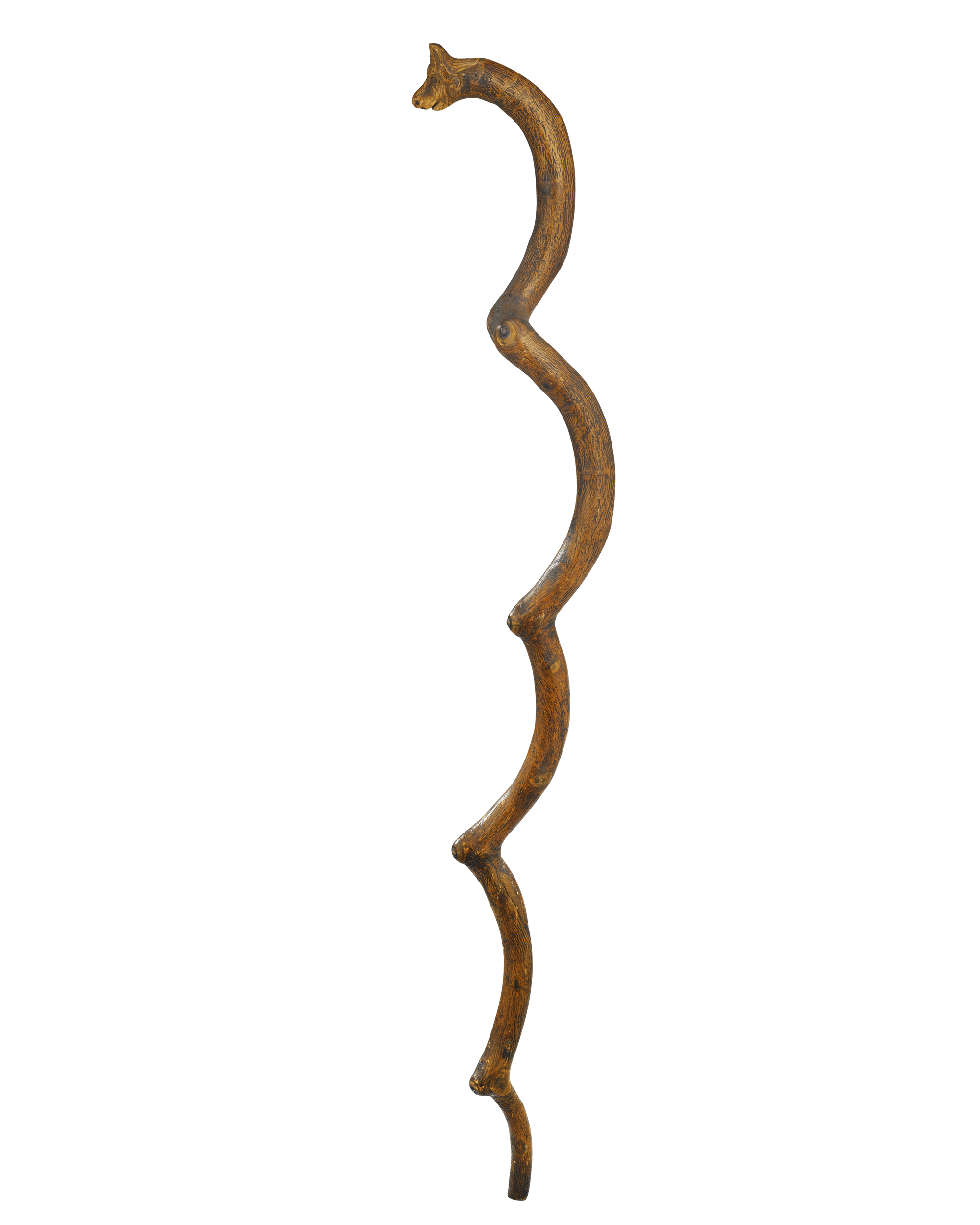 Long-Neck Dinosaur Cane