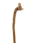 Canine Folk Art Cane