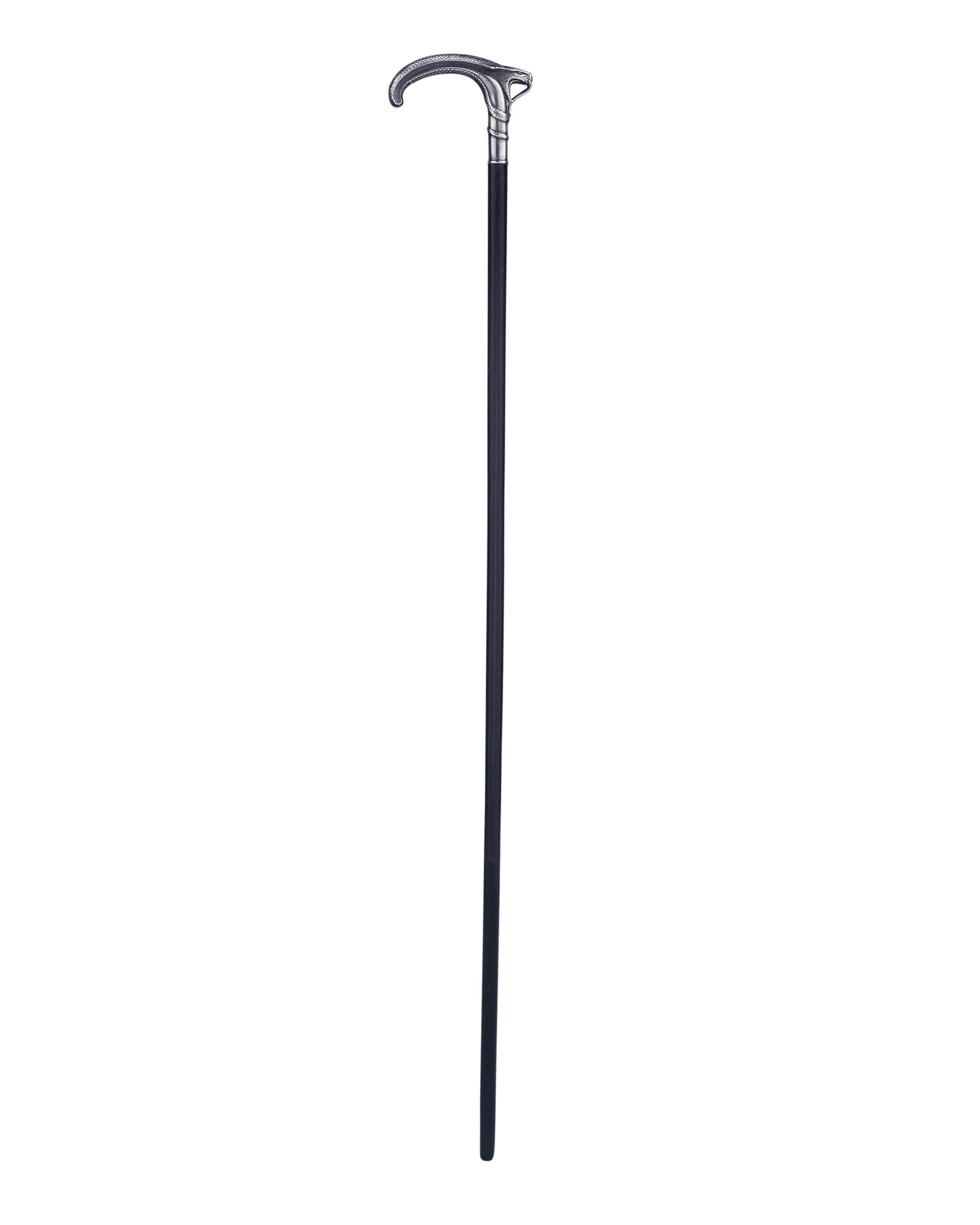 Silver Serpent Cane