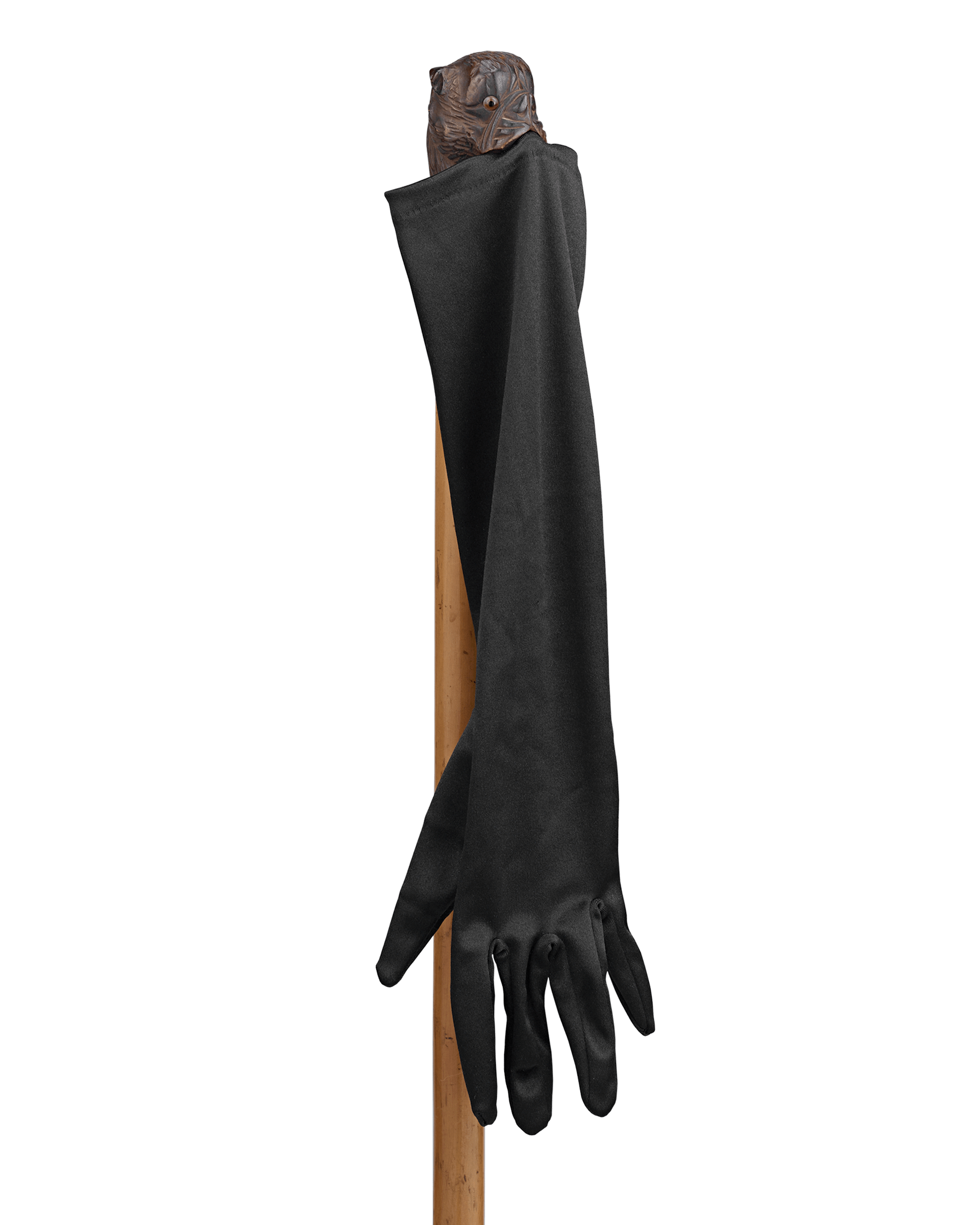 Dog Glove Holder Cane