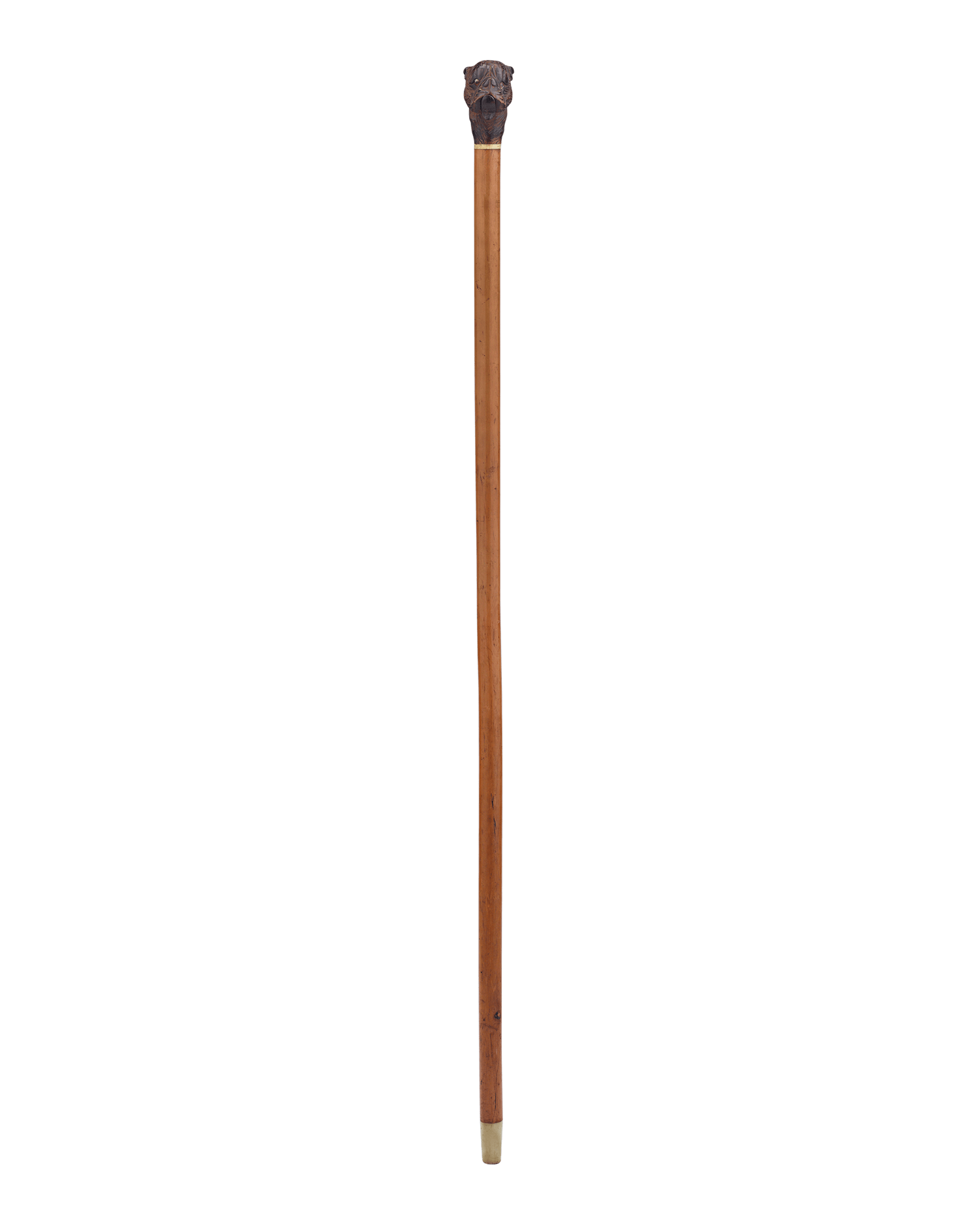 Cane with Dog Glove Holder