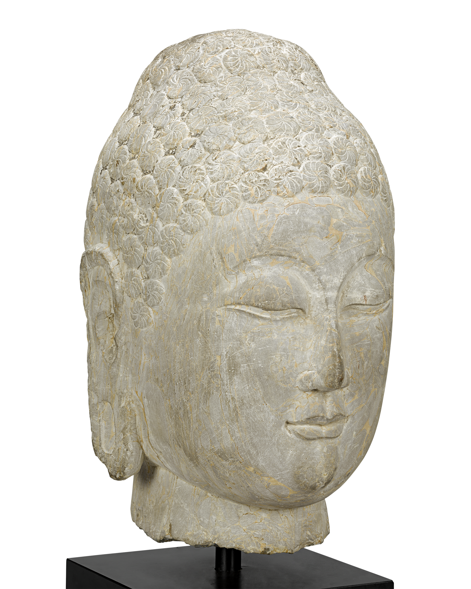 Limestone Buddha Head, 6th-Century Qi Dynasty