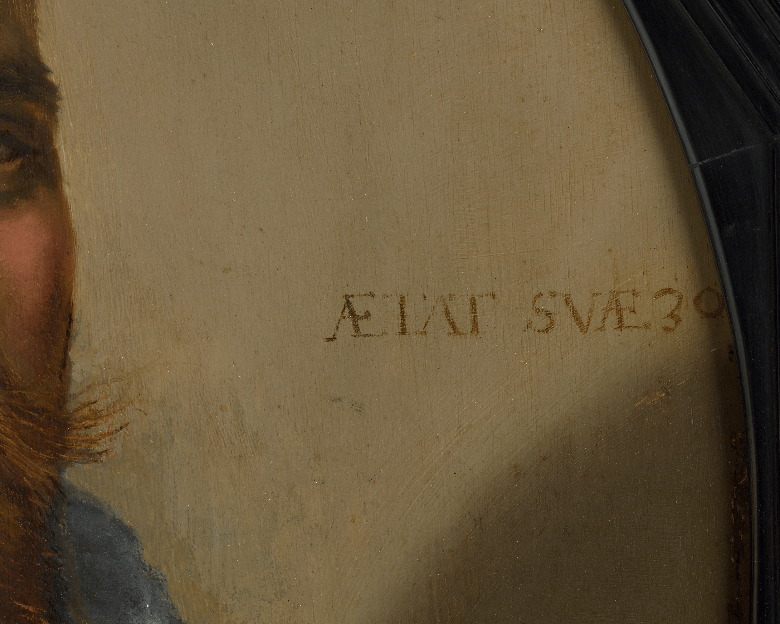 Portrait of a Gentleman by Frans Hals