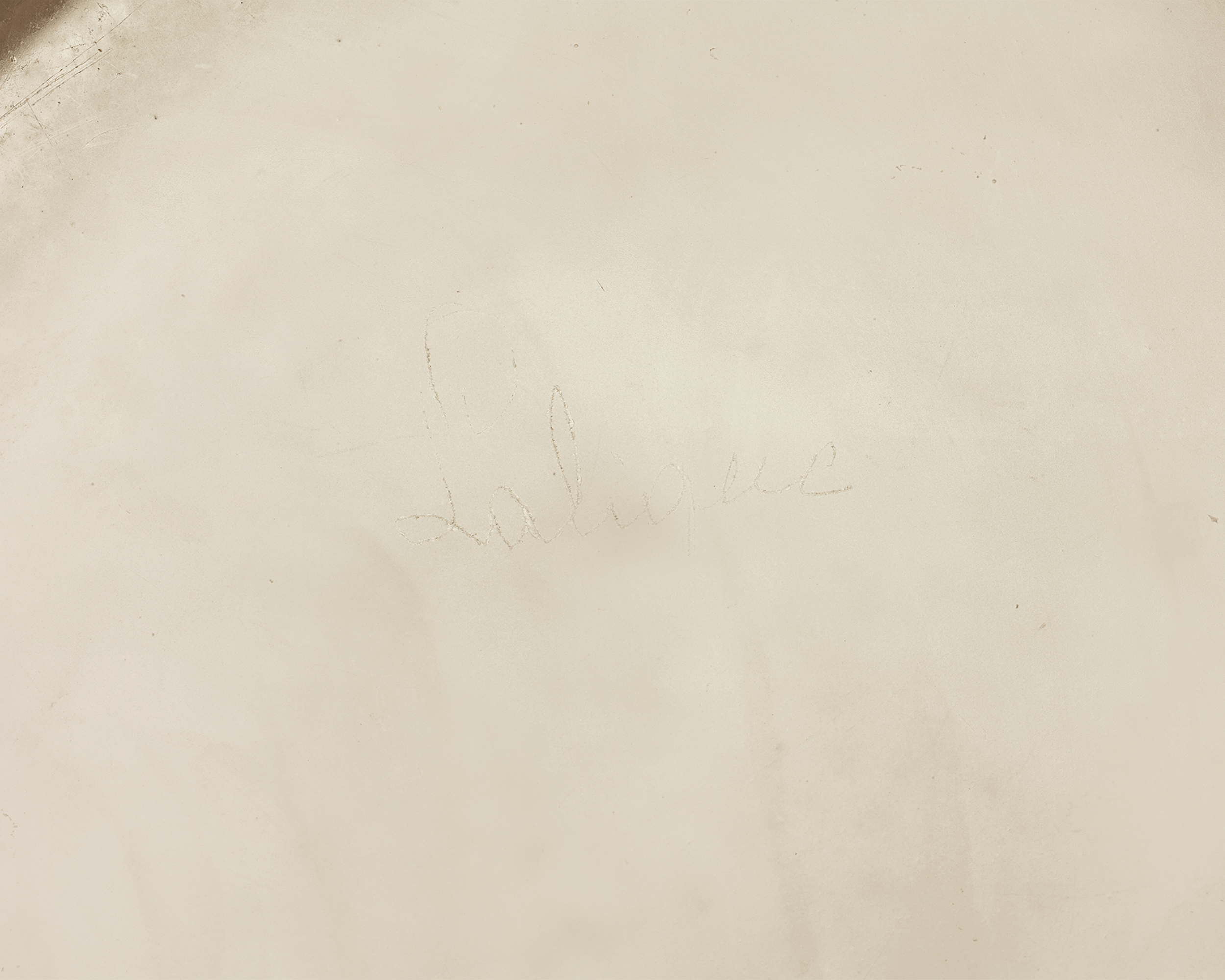 Plumes Glass Vase by René Lalique