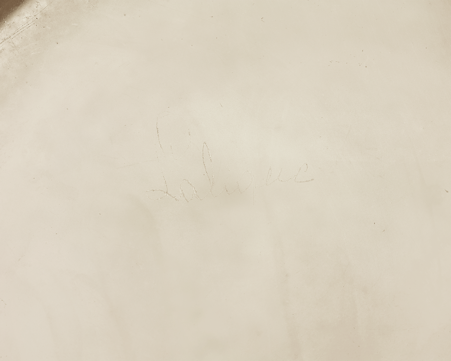 Plumes Glass Vase by René Lalique