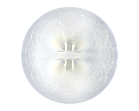 René Lalique Opalescent Glass Dish with Large Coquilles Pattern