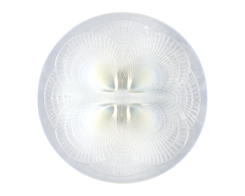 René Lalique Opalescent Glass Dish with Large Coquilles Pattern