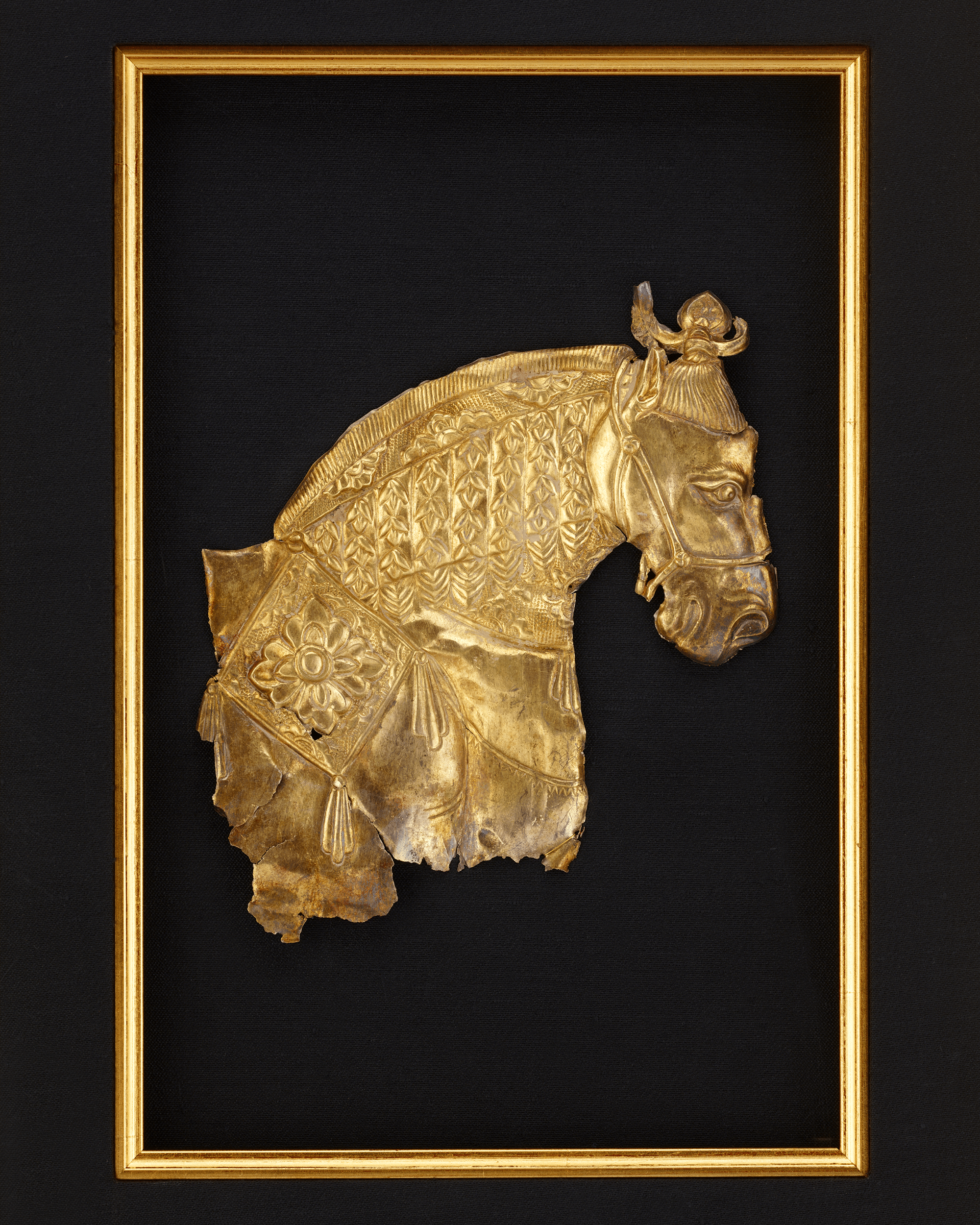 Gold Tang China Horse Head