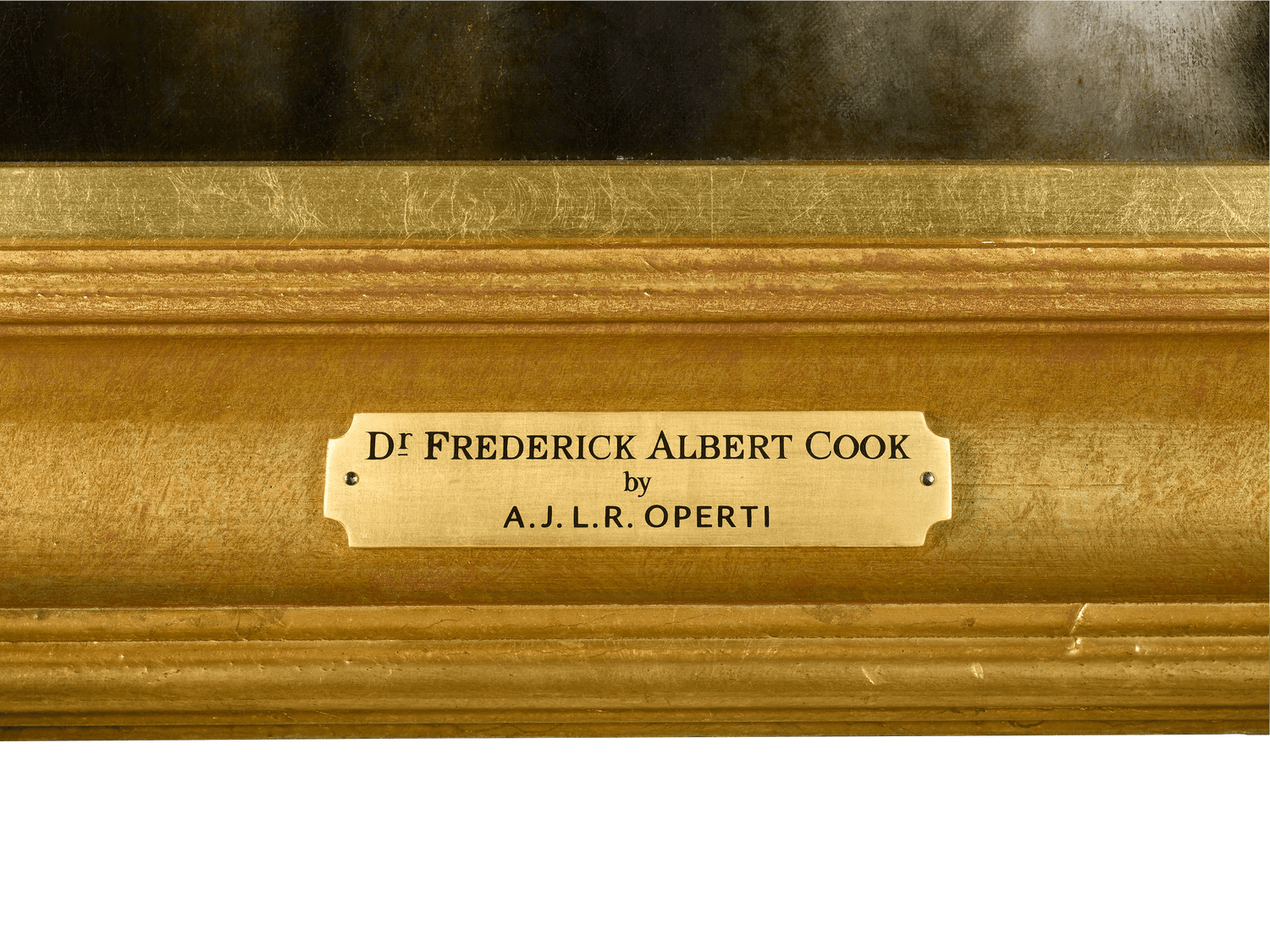 Portrait of Dr. Frederick A. Cook by Albert Operti